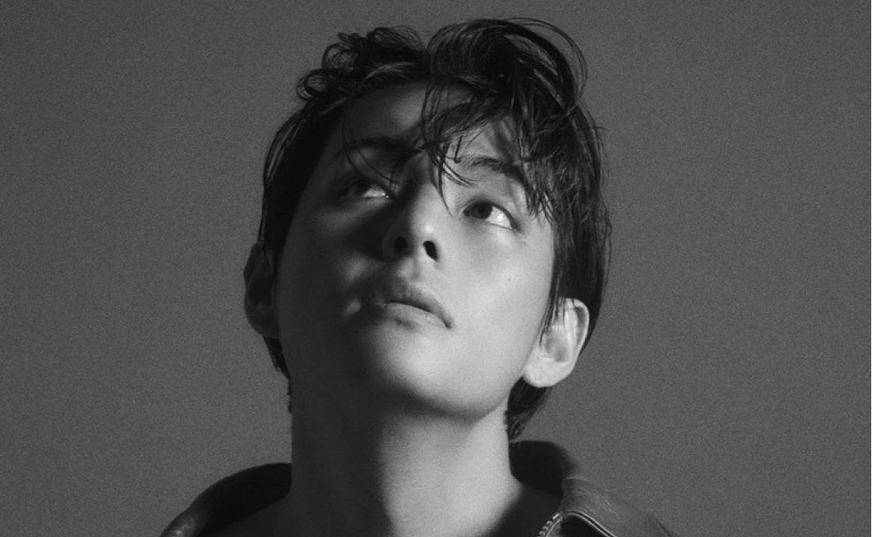 V is the next BTS member to release a solo album!